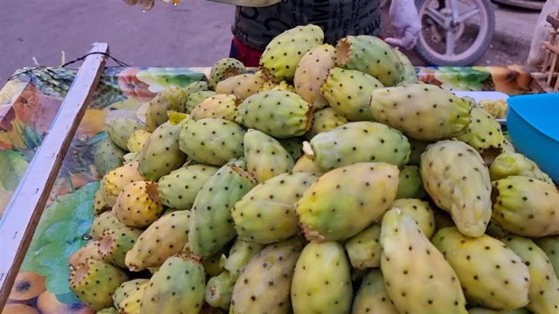 الحق والضلال