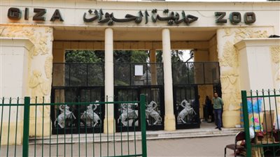 التذكرة هتزيد 5 اضعاف الاعلان عن سعر تذكرة حديقة الحيوان بعد تجديدها وتطويرها