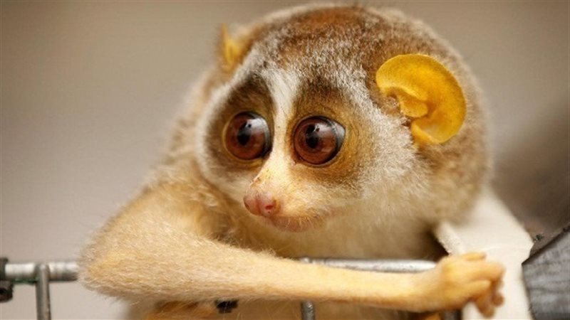 الحق والضلال