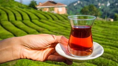 مزاج المصريين هيتعدل بعد هذه المفاجأة السارة فى أسعار المشروب الشعبى 22 إنخفاض فى أسعار الشاى الآن