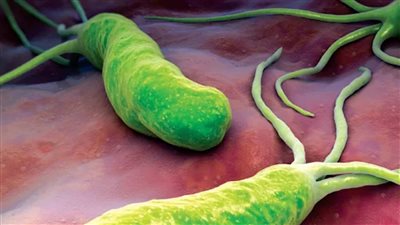 التخلص من جرثومة المعدة نهائيا اعرف اعراض الجرثومة وطرق علاجها