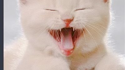 نكتة رائعة عن واحد عايز ينتحر