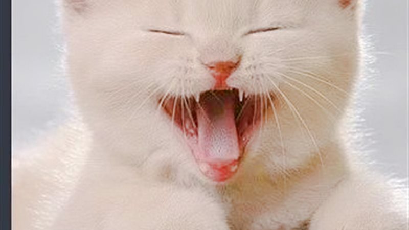 الحق والضلال