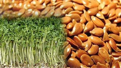 انسى الوجع والالم وتخلص من التهاب المفاصل بتناول البذور دي اعرفها