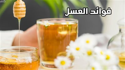 بالمناديل الورقية هنعرف الفرق بين العسل النقي والعسل المغشوش إليك التفاصيل