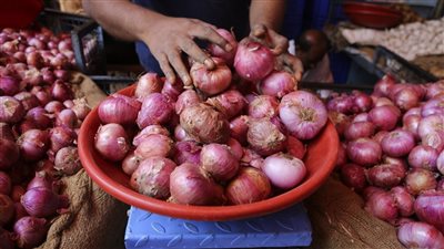 بشرى سارة للمواطنين في الأيام القادمة بشأن أسعار الطماطم والبصل في الأسواق