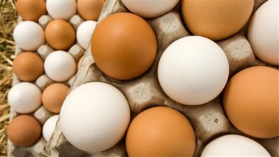 وصلت لكام يابيض علشان نشتريك مفاجآت قوية في أسعار البيض اليوم اعرف التفاصيل