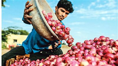 متشلش هم غلاء البصل تاني وانسي انك تشتريه وهو غالي التعرف على بدائل البصل