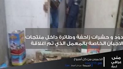 بالصور..دود وحشرات زاحفة داخل مخازن ومحلات الجبنة الرومي والإسطمبولي