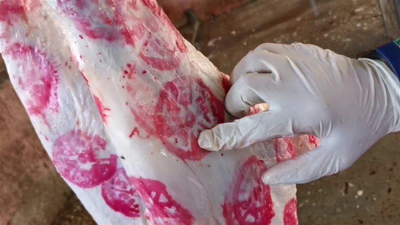 الحق والضلال