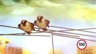 عمرى فى حياتى ما شوفت ولا هشوف زى ال 100 ثانيه دول !!