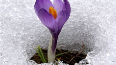 صباح الأمل اليوم الخميس 3 يونيو 2021