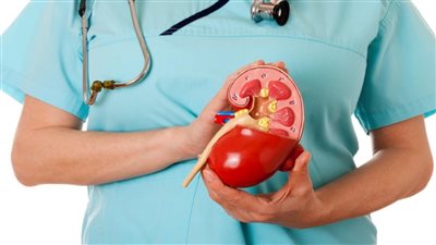 بايدك انت تتسبب في اصابتك بالفشل الكلوي عادة خاطئة تفعلها يوميا في فصل الشتاء تصيبك بالمرض اعرفها