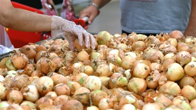 البصل دا ملوش اهل يسألو عليه ولا ايه ارتفاع اسعار البصل مرة اخري تعرف على سر هذا الارتفاع