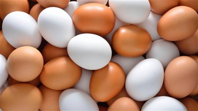 اشترى وانت مطمن اسعار مفاجئة لكارتونة البيض اليوم اعرف سعره كام النهاردة