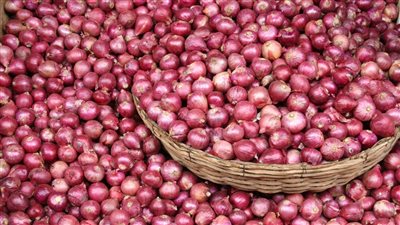 بقينا في جنون البصل مش جنون الطماطم كل يوم بيغلي عن الاول اعرف سعره وصل كام النهاردة