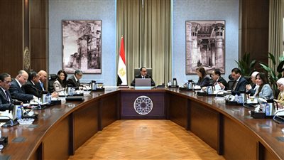 الحكومة تصدر بيان هام بشأن ضبط أسعار السلع وتغليظ عقوبة المحتكرين