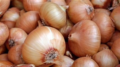 بعدما وصل لـ 40 جنيه البصل هيرخص النص بعد 15 يوم على عهدة وزير الزراعة