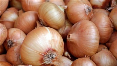 هنجيب البصل بسعر 16 جنيه ونستغني عن الغالي دا خالص نقيب الفلاحين يكشف مفاجآت في أسعار البصل