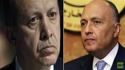 بعد صفعه لـ«أردوغان».. أبرز 3 مشاهد فى تاريخ وزير الخارجية سامح شكرى