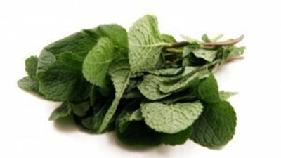 فؤائد الجرجير للتخسيس