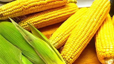 الستات مش هتبطل تاكلها 6 فوائد للذرة قد تعرفها لأول مرة