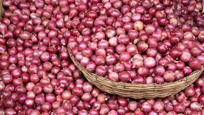 البصل هيغرق السوق الفترة القادمة حملات مفاجاء علي مفارش البصل تكشف الكثير من الفضايح