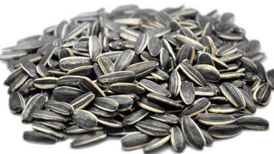 ماذا يحدث لجسمك عند تناول «اللب السوري» 1065217