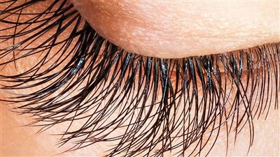 ليه تركبي رموش والحل معاكي بـ 3 وصفات خلي رموشك أطول وأقوي