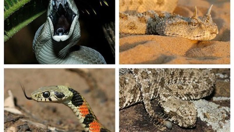 الحق والضلال