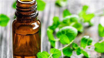 8 حاجات لو عرفتيهم عن زيت النعناع مش هتبطلي تستخدميه