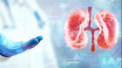 مشروب برخص التراب يعالج وينظف الكلى ويفتت الحصوات سريعا موجود في كل البيوت اعرف هذا المشروب