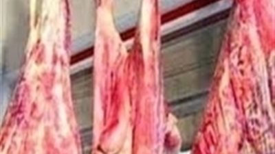 غلق ثلاجة تبيع لحوم مجهولة المصدر
