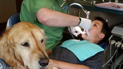 عيادة اسنان في الولايات المتحدة تستعين بالكلاب لتهدئة الأطفال من الخوف