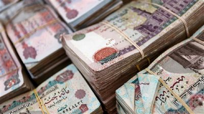 أعلى 5 شهادات إدخار بالبنوك المصرية مع قرب انتهاء آجال شهادات الـ 25 بالمئـه