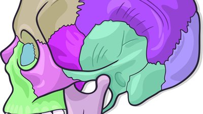 لا تسند سماعة التليفون على كتفك وتمسك بها برأسك مائلة ..هذه الحركة تعرض حياتك للخطر لماذا؟