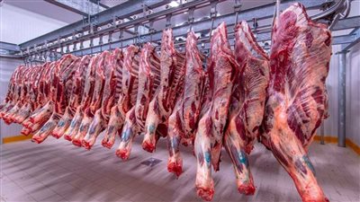 لو معاك فلوس اشتري وخزن أسعار اللحوم تفاجأ الجميع بسعرها اليوم اعرف الكيلو منها بكام