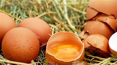 عندك بيض زيادة وعايزة تخزنيه 3 حاجات لو عملتي غيرهم هتندمي