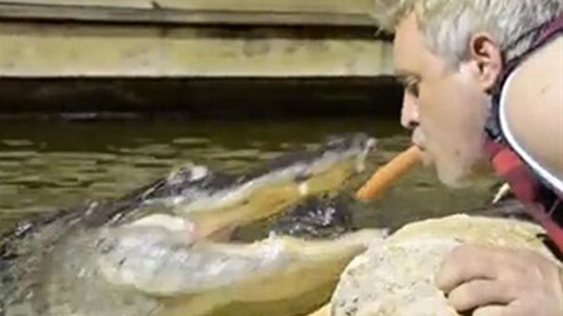 الحق والضلال