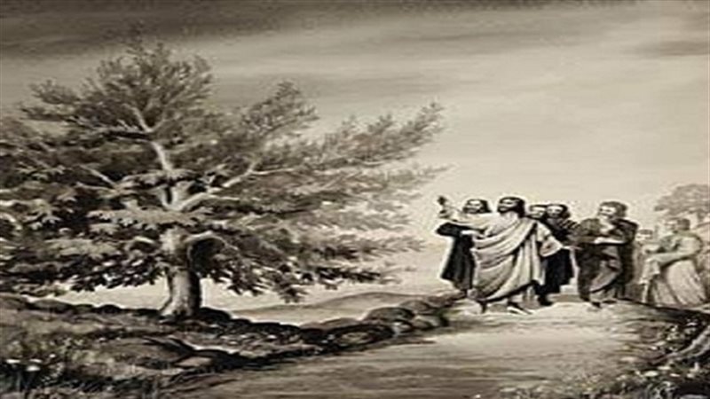 الحق والضلال