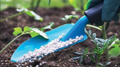 ارتفاع 40 في المئة بأسعار الأسمدة فى مصر 2024 وتهديد جديد للإنتاج الزراعي والسيولة الدولارية الأبرز