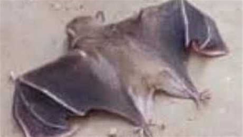 الحق والضلال