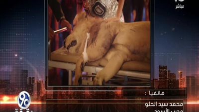 بالفيديو | سر المعركة الطاحنة بين بشري و محمد رمضان وسر الاسد الذي ظهر في كليب بشري