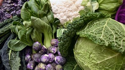 البصل والثوم ركبوا الموجة ارتفاع أسعار الخضروات والفاكهة