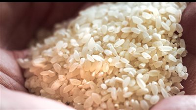 السكر والأرز بنص التمن اعرف أسعار السلع بمعارض أهلا رمضان