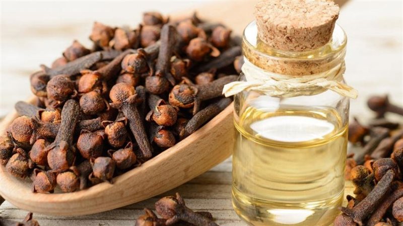 الحق والضلال