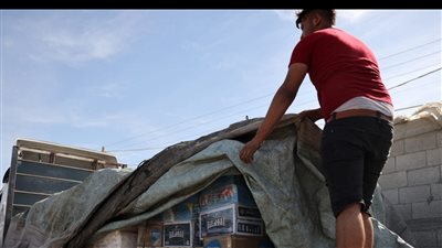 3 هديا لصاحب إلقاء البرتقال على شاحنات مساعدات غزة