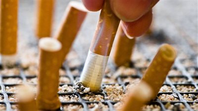 السجاير هترخص تاني وكام شوف شعبة الدخان ردت قالت إيه