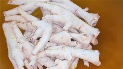 أبرزها الشعر والغدة الدرقية أرجل الفراخ تعالج 7 أمراض خطيرة