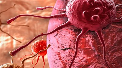 أطعمة منسية تقضي على السرطان نهائيا تعرف عليها